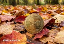 Bireysel Yatırımcı XRP Satarken Balinalar Topluyor: Kasım Rallisi mi Gelecek?