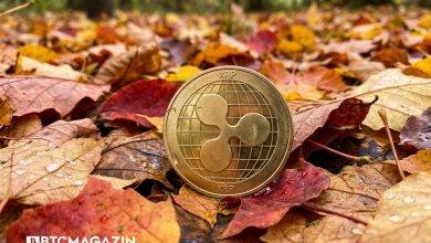 Bireysel Yatırımcı XRP Satarken Balinalar Topluyor: Kasım Rallisi mi Gelecek?