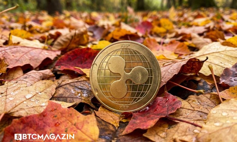 Bireysel Yatırımcı XRP Satarken Balinalar Topluyor: Kasım Rallisi mi Gelecek? 1 Bireysel Yatırımcı XRP Satarken Balinalar Topluyor: Kasım Rallisi mi Gelecek?