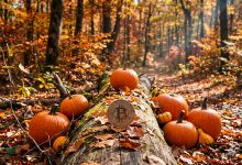 Bitcoin "Uptober" Geleneğini Yine Bozmadı: İşte 3 Büyük Yükseliş Sinyali
